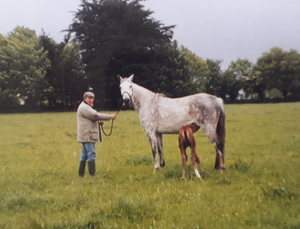 New History Image with Horses